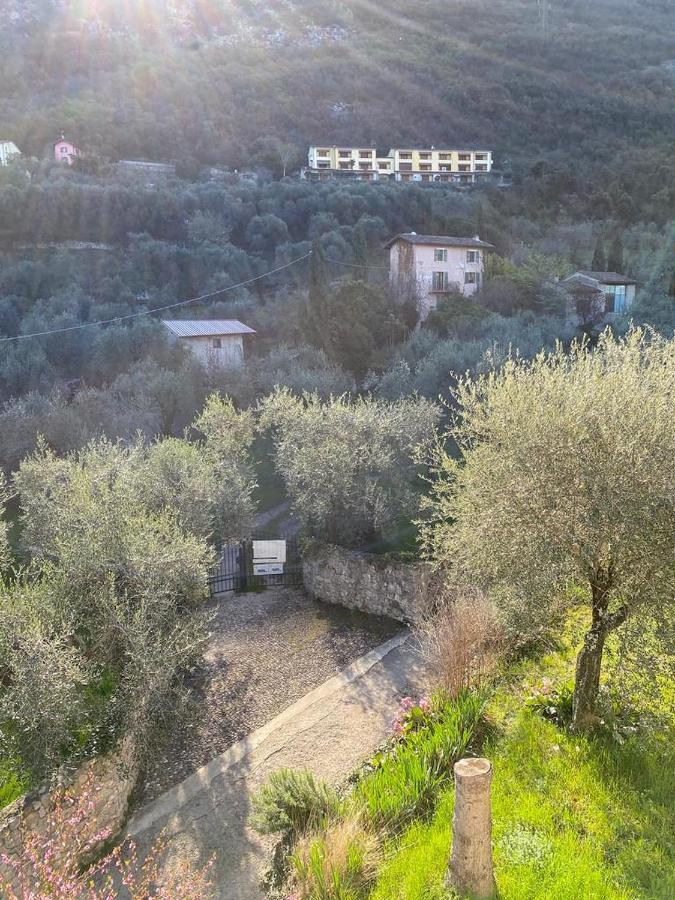 Olive Grove House Apartment Malcesine Exterior photo