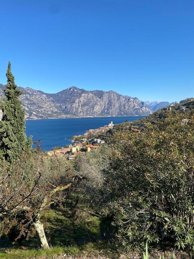 Olive Grove House Apartment Malcesine Exterior photo